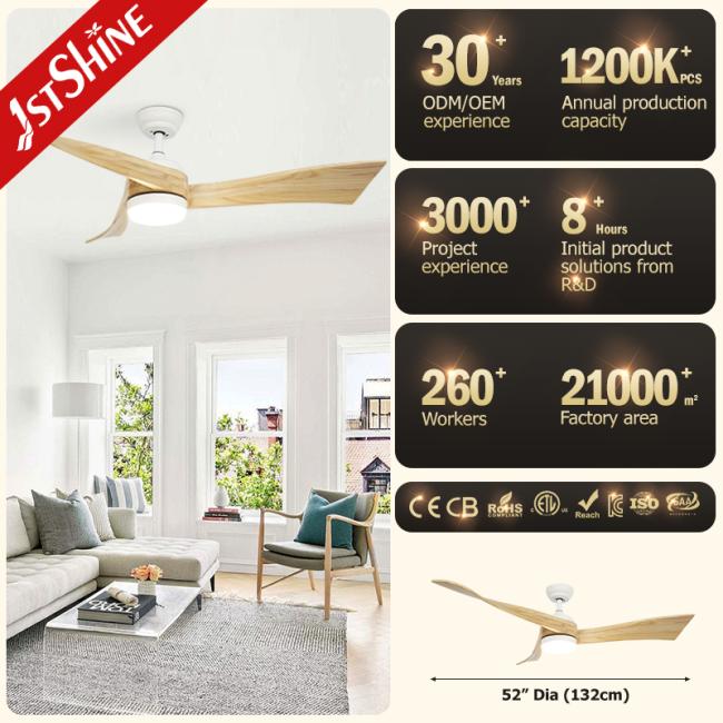 ceiling fan ceiling fan