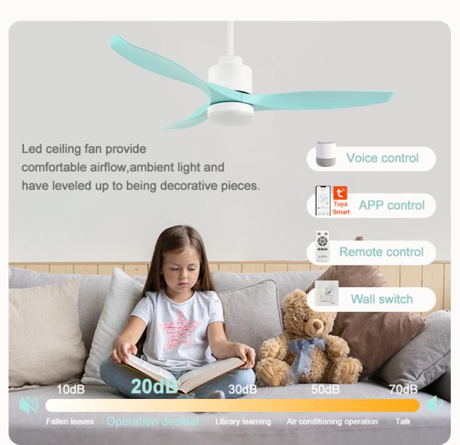 ceiling fan