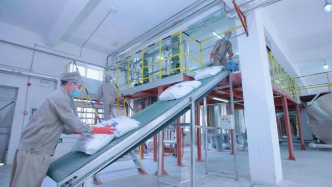 Pharmaceutical Excipient Good Quality Sodium Stearyl Fumarate CAS No. 4070-80-8