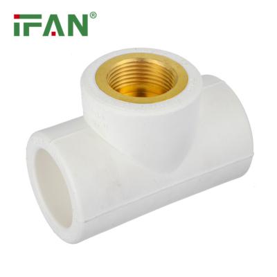 中国 IFAN China Factory whiteColor20*1/2
