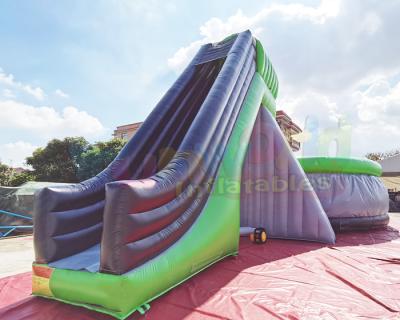 China Playground Adult Inflatable Jumping Castle Air Bag 12x6x2 meter for sale