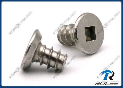 China 304/316 Stainless Steel Square Flat Undercut Head Tapping Screws for Plastics for sale