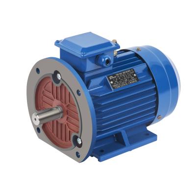 China Industrial 50hp Electric Motor Totally Enclosed 3 Phase Induction Motor for sale