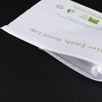 China Food Packaging 100% Compostable Ziplock Bags Eco Friendly PBAT for sale