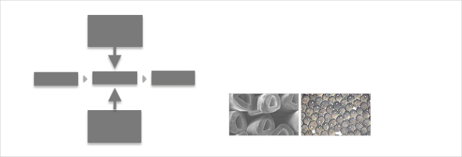 3D×64mm Hollow Conjugated Polyester Staple Fiber With Excellent Bulkiness 1