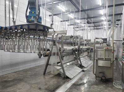 Chine Équipement d'abattage de volailles Halal Machine de transformation de viande de volaille à vendre