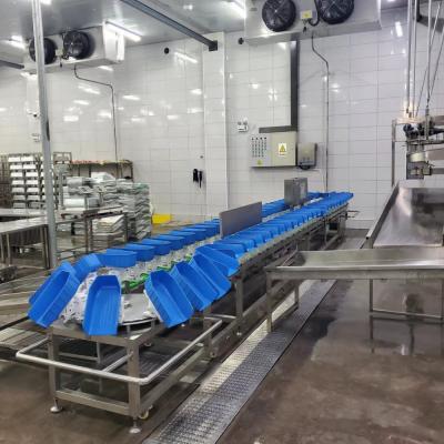 China Plastic Tray Chicken Duck Poultry Belt Weight Sorting Machine For Slaughtering House for sale