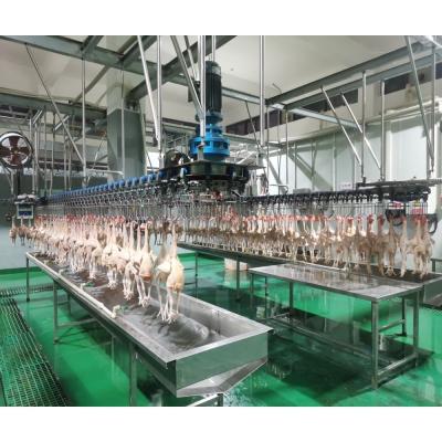 China Durable Poultry Plucker Machine For Chicken Duck Goose Bird Defeathering Equipment for sale