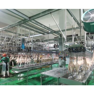 China Línea de sacrificio personalizada para máquinas de matanza de pollo de carnicero Capacidad de 300-1000 Bph en venta