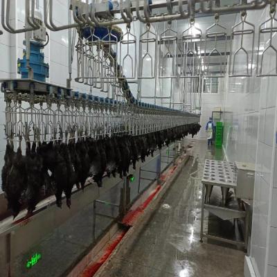 China 3400KG Halal Poultry Slaughterhouse Equipment Turkey Duck Broiler Chicken Processing for sale