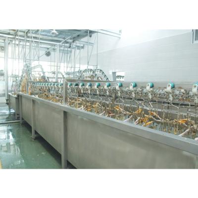 China 3000BPH Duck Slaughter Machine 380V / 220V Poultry Processing Equipment for sale