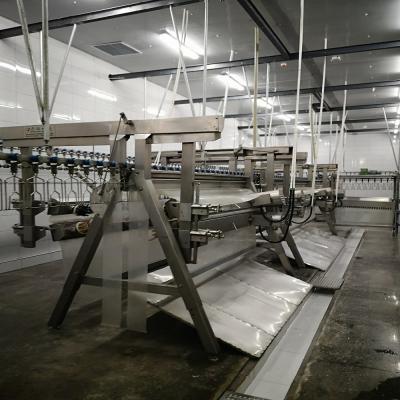 China Máquina de sacrificio automática Halal Máquina de preenfriamiento para planta avícola 100KG en venta