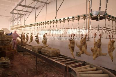China Chicken Duck Goose Processing Line Slaughter Machine 304 Stainless Steel 220V en venta