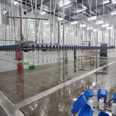 China 500 Bph de pollo planta de procesamiento de aves de corral de acero inoxidable de pollo Plucker máquina en venta