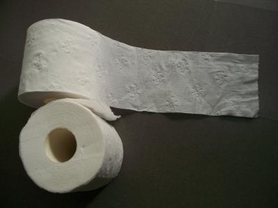 Chine papier hygiénique biodégradable de salle de bains blanche de 15 ~18gsm de pâte de bois vierge à vendre