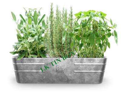 China Metal Tin Bucket Rectangular Flower Vegetables Plants Herbs Growing for sale