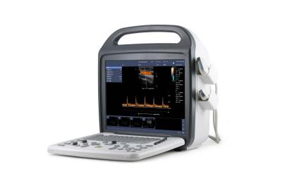 China 6 To 24cm Ultrasound Veterinary Equipment Ultrasound Portable ISO13485 for sale