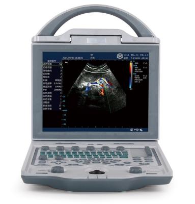 Cina 10,4» macchine portatili di ultrasuono di ultrasuono veterinario dell'esposizione di LED per i maiali 4.5KG in vendita