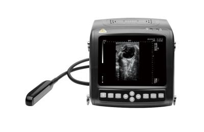 China 5.7'' LCD Display Portable Livestock Veterinary Ultrasound Machine 1.1KG for sale