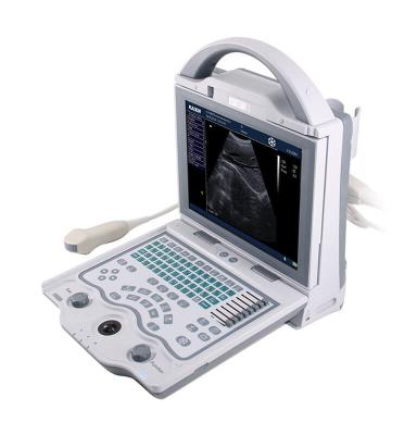 China 10.4'' LED Display Portable Laptop Veterinary Ultrasound Machine 256 Frames for sale