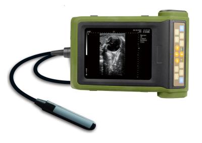 China Pregnancy And Follicular Aspiration Farm Veterinary Ultrasound Machine 1.1KG for sale