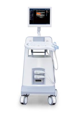 Chine Instrument diagnostique ultrasonique 500GB d'ultrason de Doppler de couleur de chariot à niveau d'entrée à vendre