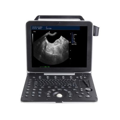 China 15'' LCD Portable Veterinary Ultrasound Machine 2D Gray Scale Imaging for sale
