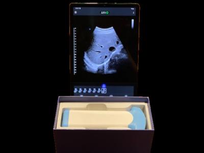 China Efficient Handheld Ultrasound Probe For Critical Care Application à venda