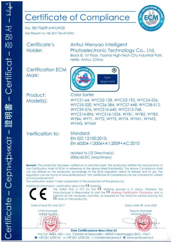 CE - Anhui Wenyao Intelligent Photoelectronic Technology Co., Ltd