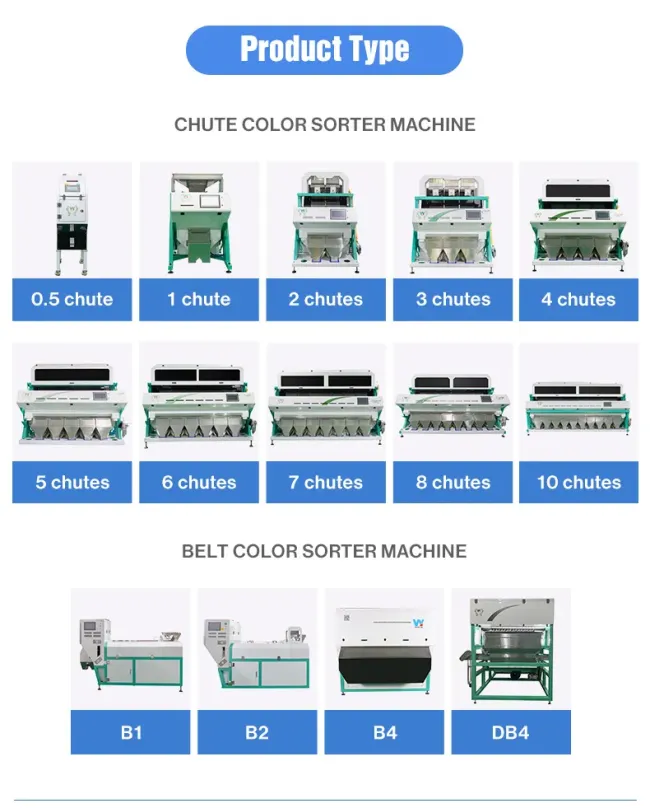 Soya Bean Color Sorter Pules Sorting Selector Machine Green Bean Black Sohum Seeds Cleaning Equipment