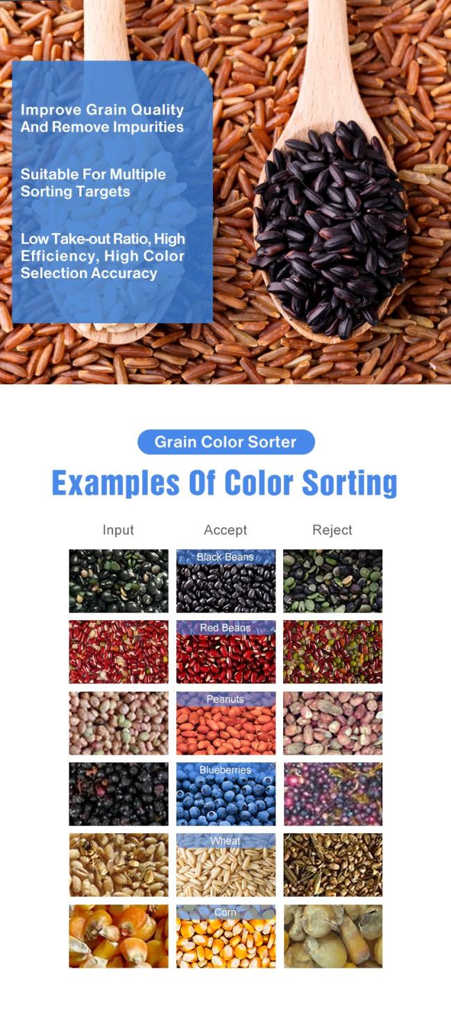 WENYAO Professional Japan for CCD Sensor Grain Sorting Machine with 2400-4000kg Capacity 0.999 Accuracy for Rice/Bean/Grain