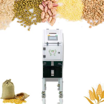 China Mini Macadamia Nut Color Sorter Machine With CKD Air Filter And YSC Cylinder for sale