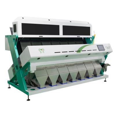 China AI Self Learning CCD Optical Multifunction India Garlic Color Sorter High Accuracy for sale