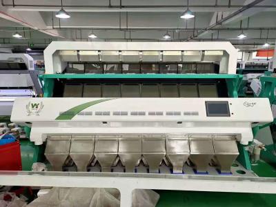 China Producción multifuncional del clasificador 3t/h del color de las habas del cardamomo en venta