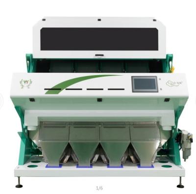China Intelligent Almond Nut Cashew Color Sorter Machine With Toshiba Camera for sale