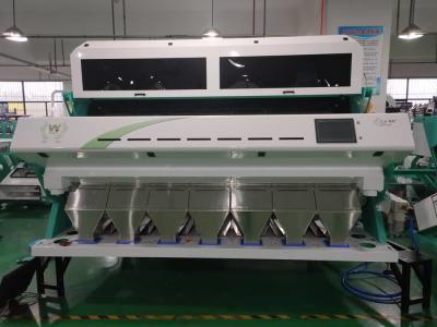 China 7 nueces del RGB de la almendra de los canales inclinados colorean la máquina del clasificador para los huesos de albaricoque en venta