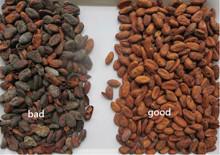 China 1 CCD del RGB de la producción de Sorte del color de la correa de los granos de cacao de Ton/H en venta
