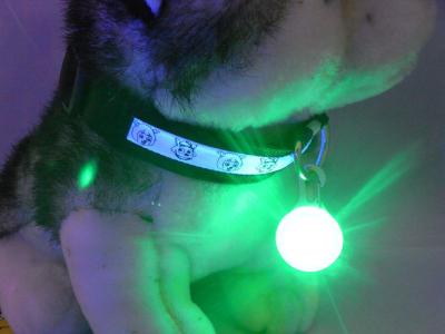 China Pet Dog LED glowing pendant necklace Safety puppy Cat Night Light Flashing Collar Glowing in Dark for sale