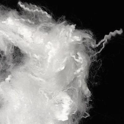Китай Экологически дружелюбное Полылактик кисловочное волокно с естественным Ретарданси пламени продается