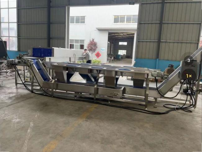 Eddy Current Washing Machine Fruit and Vegetable Washing Production Line Efficient Salad Vegetable Washing Equipment