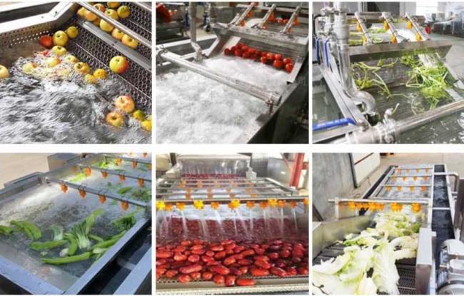 Eddy Current Washing Machine Fruit and Vegetable Washing Production Line Efficient Salad Vegetable Washing Equipment