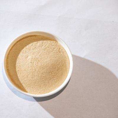 China Enzymatic Acid Fertilizer Powder 85% Amino Acid Powder Fertilizer 16-0-0 PH 4-6 Organic Nitrogen Fertilizer for sale