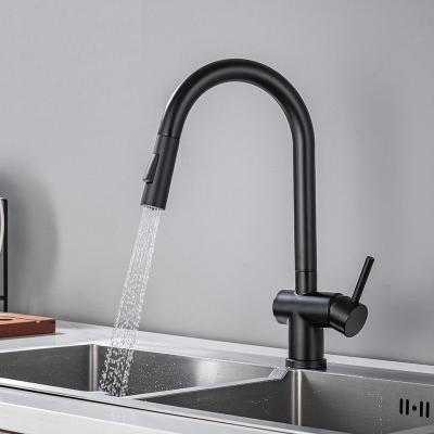 China Stainless Steel Matt Black Pull Out Kitchen Tap Chrome Golden Grey for sale