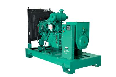 China 100KW Moisture Proof Power Plant for Continuous Power Generation for sale