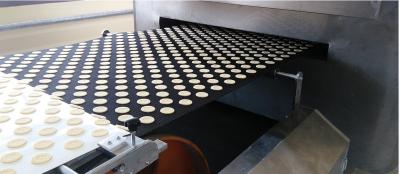 China A linha de produção da cookie de HONGXIN 800KG com COSTURA o motor à venda