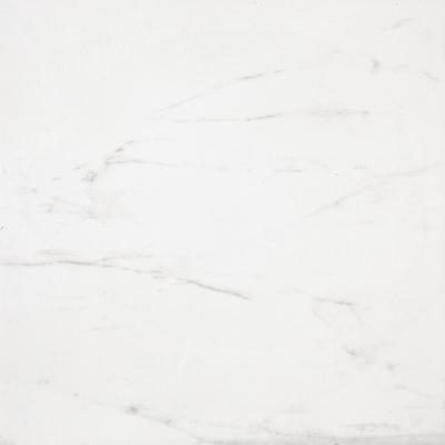 China Tejas interiores blancas de la porcelana de Carrara para el mercado estupendo, hotel, chalet en venta