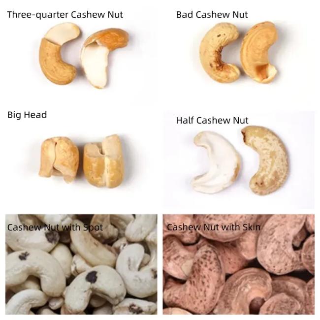 Intelligent Automatic Cashew Shell-Kernel Separation Sorter with Single-Deck Belt