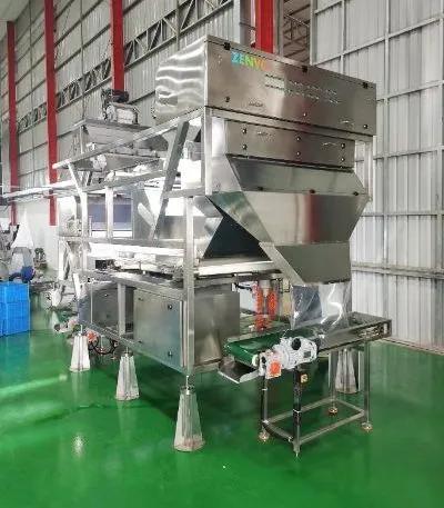 Intelligent Automatic Cashew Shell-Kernel Separation Sorter with Single-Deck Belt