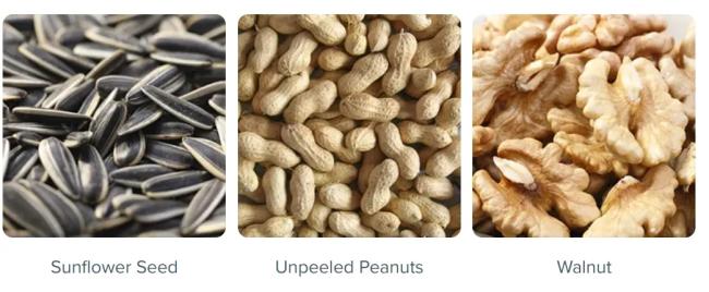 Intelligent Automatic Cashew Shell-Kernel Separation Sorter with Single-Deck Belt