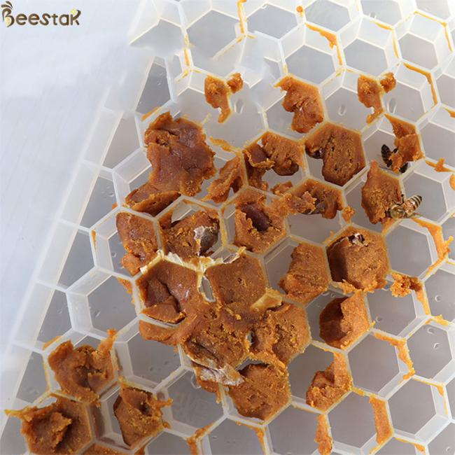 Plastic bee feeder for pollen